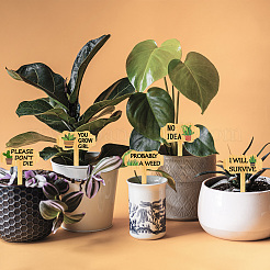 木の植物のラベル  シードポッティング用  ハーブ  花  野菜  名  他の植物  70x50x3mm  15個/セット&nbsp;WOOD-WH0500-005