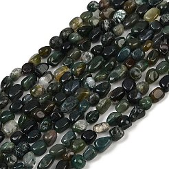 Natural Moss Agate Beads Strands&nbsp;G-Q060-D10