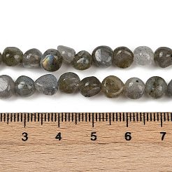 Natural Labradorite Beads Strands&nbsp;G-Q060-B02