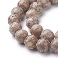 Natural Fossil Coral Beads Strands&nbsp;G-F563-02-10mm