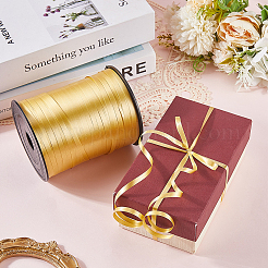 Plastic Ribbon&nbsp;KY-WH20071-001A