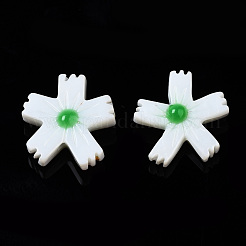 Natural Freshwater Shell Beads&nbsp;SHEL-N003-19C
