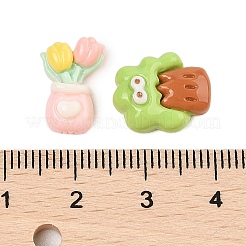 オペーク樹脂カボション  ミックスカラー  鉢植え  混合図形  10.5~14x8.5~13.5x5~6mm&nbsp;CRES-M037-10