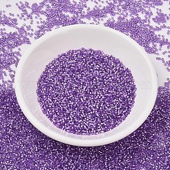 MIYUKI Delica Beads&nbsp;SEED-MY11-DB1343