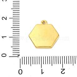 304 Stainless Steel Pendants&nbsp;STAS-V004-09G-03