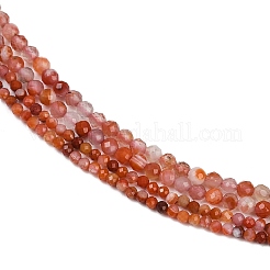 天然石赤瑪瑙ビーズ連売り  ラウンド  多面カット  2~3mm  穴：0.6mm  約146個/連  15.55''（39.5センチメートル）&nbsp;G-RM2025-B32