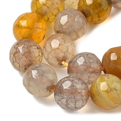 Natural Agate Beads Strands&nbsp;G-C082-A01-54