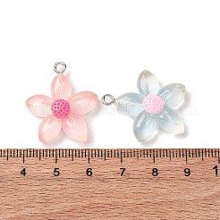 Transparent Resin Pendants&nbsp;RESI-Z043-04P