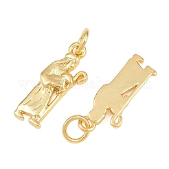Brass Pendants&nbsp;KK-L275-55G-01