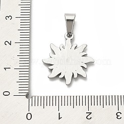 304ステンレスペンダント  太陽のチャーム  ステンレス鋼色  20.5x18x1.5mm  穴：7x3.5mm&nbsp;STAS-Q343-13P