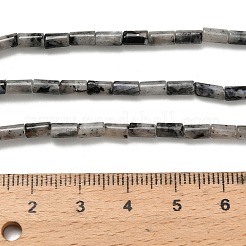 Natural Larvikite Beads Strands&nbsp;G-P600-B08-01