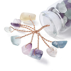 Natural Fluorite Chips Tree Decorations&nbsp;DJEW-P021-E03