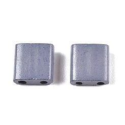 2-Hole Baking Paint Glass Seed Beads&nbsp;SEED-S023-17C-34