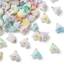 90個9スタイルアクリルパーツ  ABカラーメッキ  ゴールデン真鍮パーツ  花  ミックスカラー  15mm  穴：2.4mm  10個/スタイル&nbsp;PALLOY-CJ00072