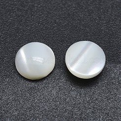 シェルカボション  半円  ホワイトスモーク  6x2~2.5mm&nbsp;SSHEL-P015-61-6mm