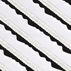 Polyester Lace Trim Ribbon&nbsp;OCOR-WH20005-44B