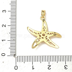 真鍮マイクロパヴェクリアキュービックジルコニアペンダント  ヒトデのチャーム  18KGP本金メッキ  22.5x22.5x2.5mm  穴：2.6x4.8mm&nbsp;KK-H254-12G