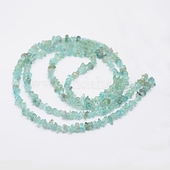 チップの天然アパタイトビーズ連売り  3~8x3~12x3~5mm  穴：1mm  約32インチ&nbsp;X-G-N0164-44