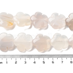 Natural White Agate Beads Strands&nbsp;G-F769-G01-02