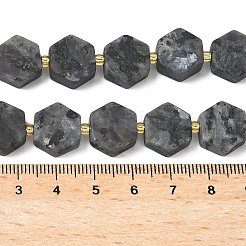 天然ラルビカイトビーズ連売り  六角形  シードビーズで  12~12.5x13.5~14.5x6~6.5mm  穴：0.8~1mm  約27~29個/連  15.71''（39.9センチメートル）&nbsp;G-A291-A02-01