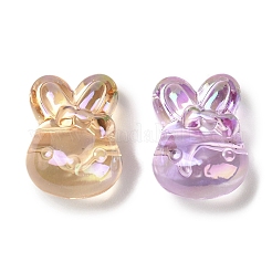 UV Plating Transparent Rainbow Iridescent Acrylic Beads&nbsp;TACR-R001-01A