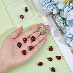 20Pcs Handmade Lampwork Beads&nbsp;LAMP-PA0001-66