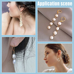 60Pcs 304 Stainless Steel Leverback Earring Findings&nbsp;STAS-SC0004-61