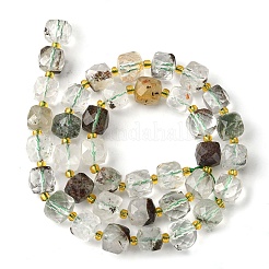 Natural Green Lodolite Quartz/Garden Quartz Beads Strands&nbsp;G-Q010-A18-01