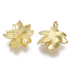 Brass Pendants&nbsp;KK-T057-009-NF