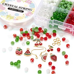 DIY Earrings Making Kits&nbsp;DIY-LS0003-69