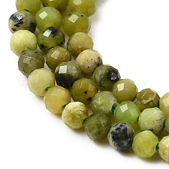 Natural Serpentine Beads Strands&nbsp;G-P603-C-3mm-06