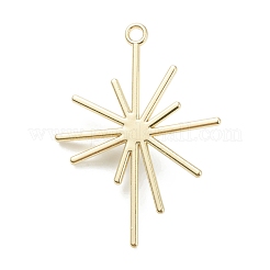 Alloy Pendants&nbsp;PALLOY-E580-05LG