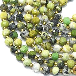 Natural Serpentine Beads Strands&nbsp;G-K389-E58-01