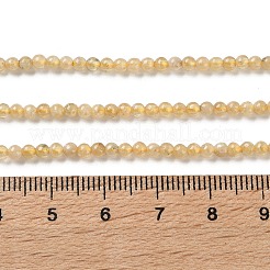 天然黄色ガーネットビーズ連売り  ラウンド  2.7~3mm  穴：0.9mm  約165個/連  15.94''（40.5センチメートル）&nbsp;G-Z129-C01-3mm-01