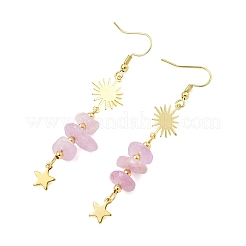 304 Stainless Steel Dangle Earrings&nbsp;EJEW-JE07301-01