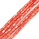 Natural Freshwater Shell Dyed Beads Strands&nbsp;SHEL-M018-12-02-1
