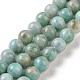 Natural Amazonite Beads Strands&nbsp;G-S362-82B-1