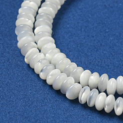 天然ニシキウズガイシェルビーズ連売り  ロンデル  ベージュ  4.5x2mm  穴：0.5mm  約87~90個/連  15.55~15.94''（39.5~40.5センチメートル）&nbsp;SSHEL-H072-11