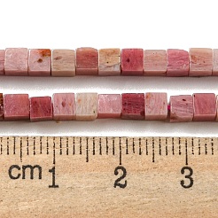 Natural Rhodonite Beads Strands&nbsp;G-C129-A14-01