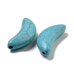 Dyed Synthetic Turquoise Beads&nbsp;G-B070-16