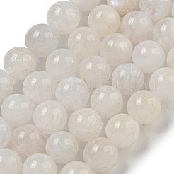 Natural Rainbow Moonstone Beads Strands&nbsp;G-C068-8mm-1A