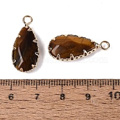 Natural Tiger Eye Faceted Pendants&nbsp;G-Q606-104G-06