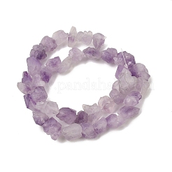 Natural Amethyst Beads Strands&nbsp;G-O173-010B-01