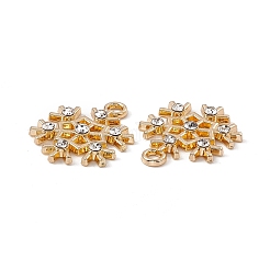 Alloy Crystal Rhinestone Pendants&nbsp;X-ALRI-K049-01G