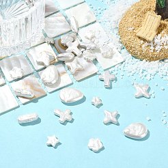30個6スタイルのパールガラスパールビーズ  混合図形  乳白色  7~18.5x4~15x2.5~9mm  穴：0.7~0.8mm  5個/スタイル&nbsp;HY-CJ0001-01