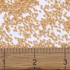 MIYUKI Delica Beads&nbsp;SEED-X0054-DB2171