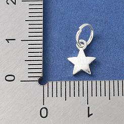 S925 スターリングシルバーペンダント  銀  8.5x6.5x1.5mm&nbsp;STER-H115-03C-S