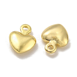Rack Plating Brass Charms&nbsp;KKB-L075-013LG-03