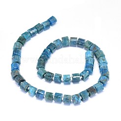 Natural Apatite Beads Strands&nbsp;G-F603-09