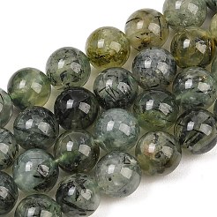 Natural Prehnite Beads Strands&nbsp;G-P322-48-8mm